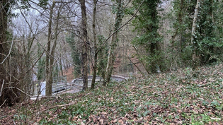 Stanley Waste Water Treatment Works Upgrade