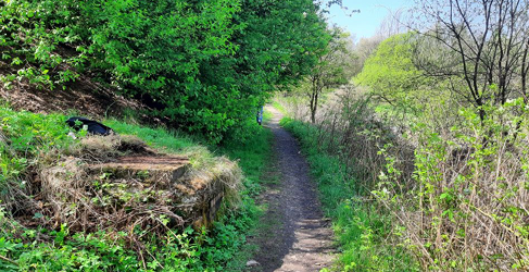 University Hospital Monklands