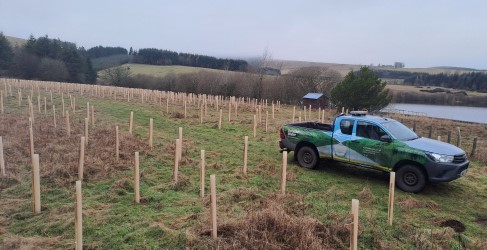 Woodland creation at Arnot Reservoir, Glenrothes Woodland creation at Arnot Reservoir, Glenrothes