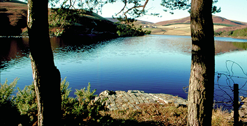 Managing Water Resources Glencorse